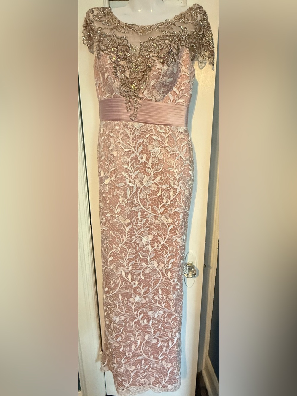 Ivonne D Mon Cheri Blush Pink Embroidered Lace Beaded Gown Dress Sz 6 Worn once